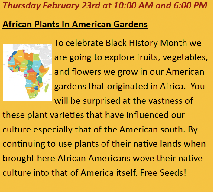 African Plants In American Gardens