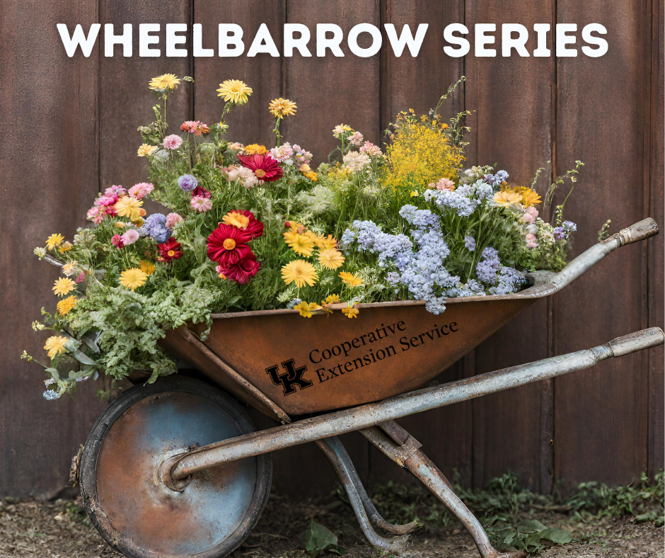 Wheelbarrow Series 