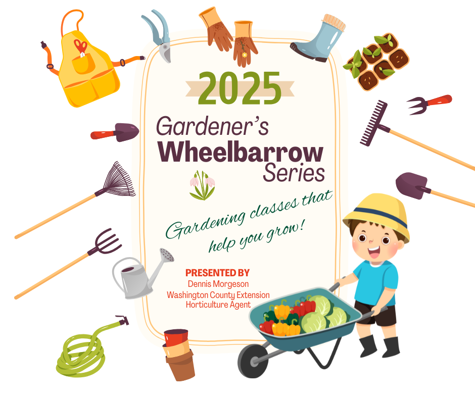 Wheelbarrow Series 