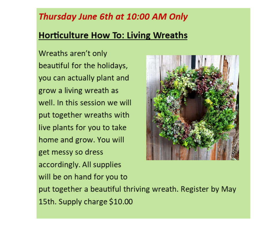 Horticulture How To: Living Wreaths 