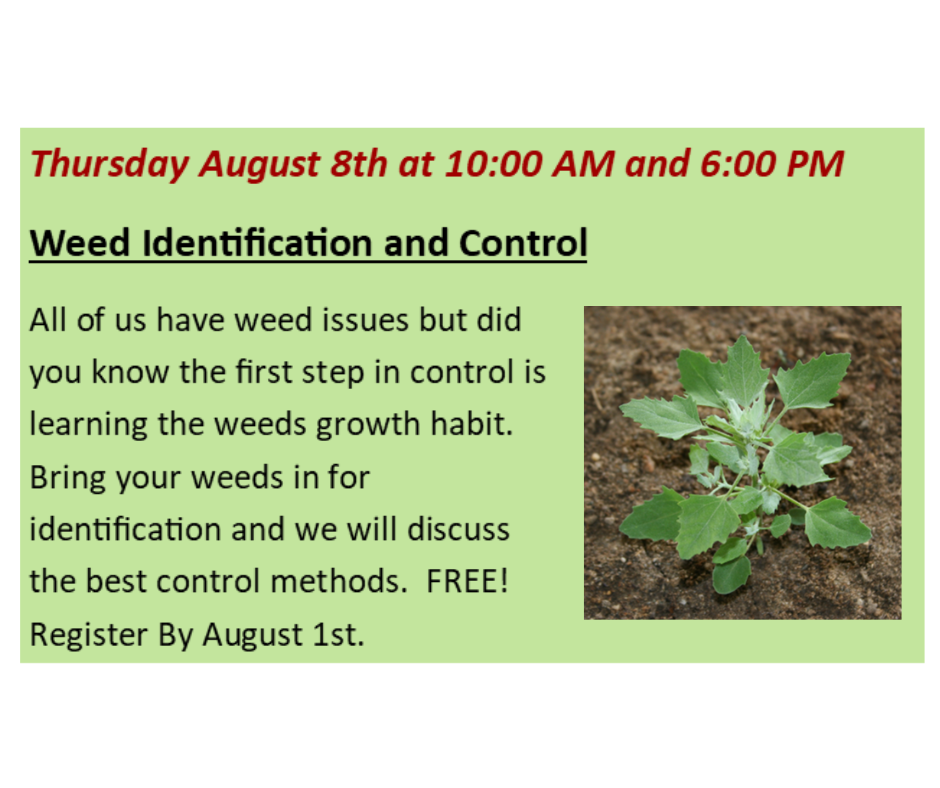 Weed Identification Control