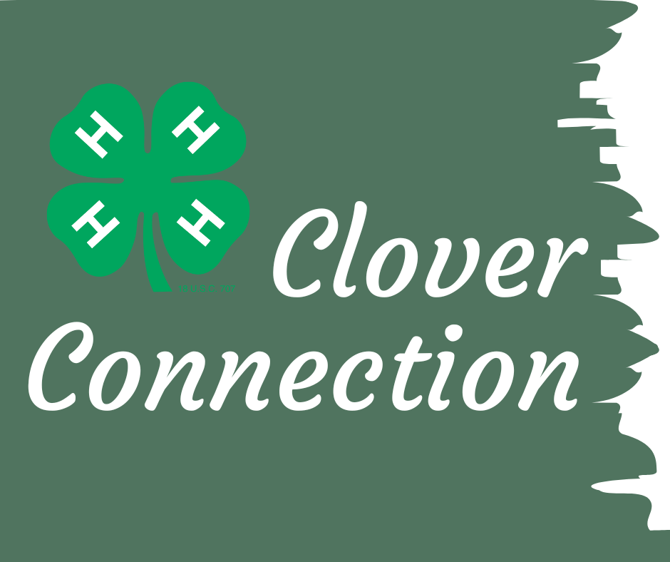 Clover Connection