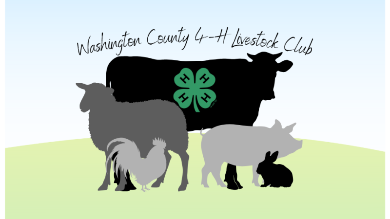 Livestock Club